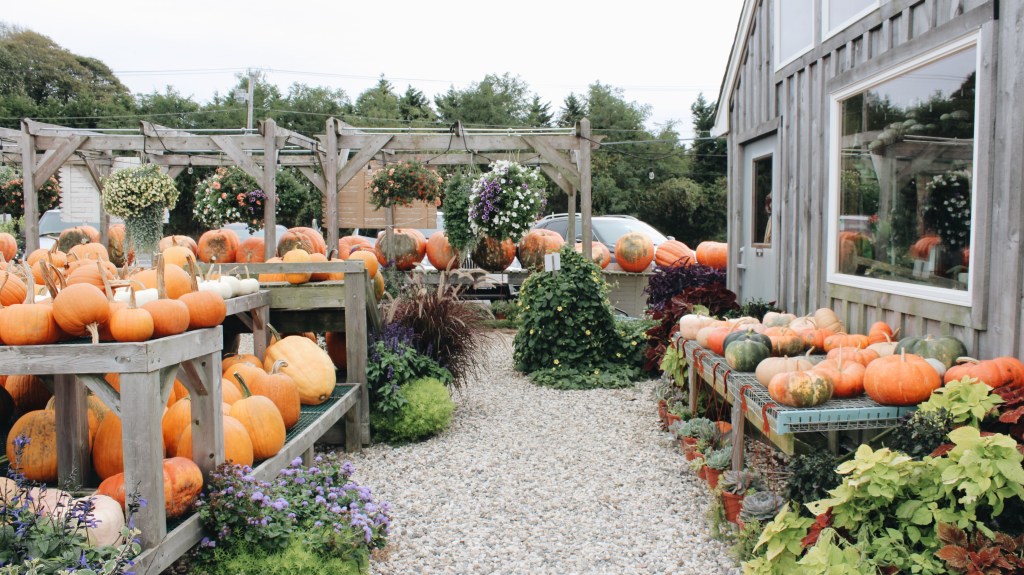 10 New Fall Books You Have to Read This&nbsp;Season